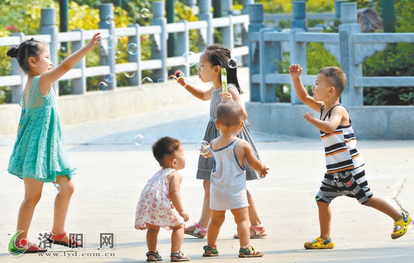 洛阳天气最新动态