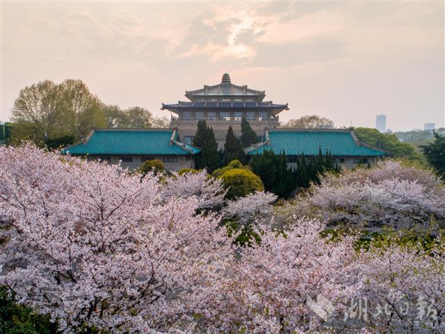 最新武汉日记，记录一座城市的重生与希望