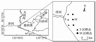 莱芜最新流感概况及其影响