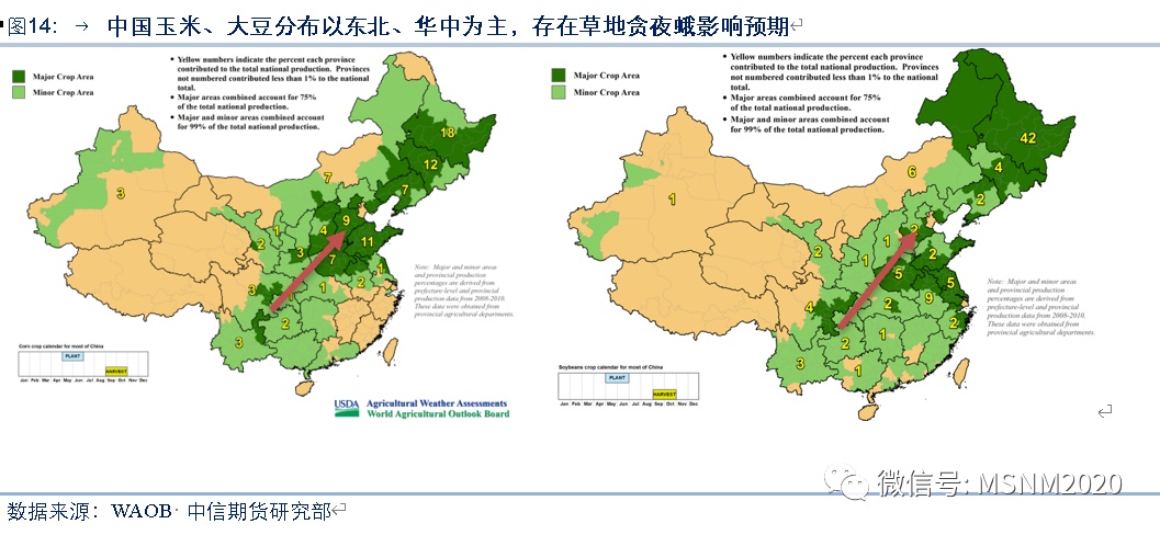 最新疫情动态深度解析