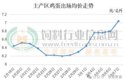 蛋鸡最新报价及市场分析