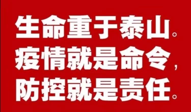 西峡最新疫情，众志成城，共克时艰