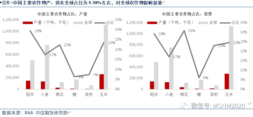 甘蔗最新疫情及其影响分析