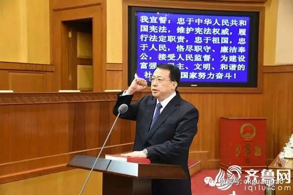 山东省政府任免最新人事动态，展现新气象、新担当与新作为