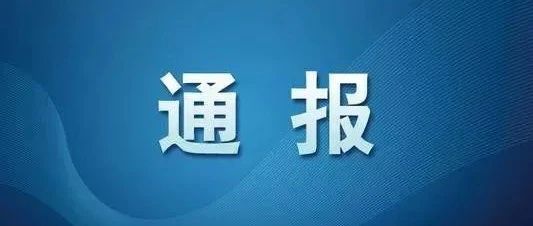 最新通报，全面揭示最新动态与进展