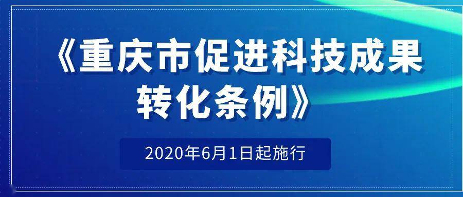 2025-2024新奥正版资料免费提供|香港经典解读落实